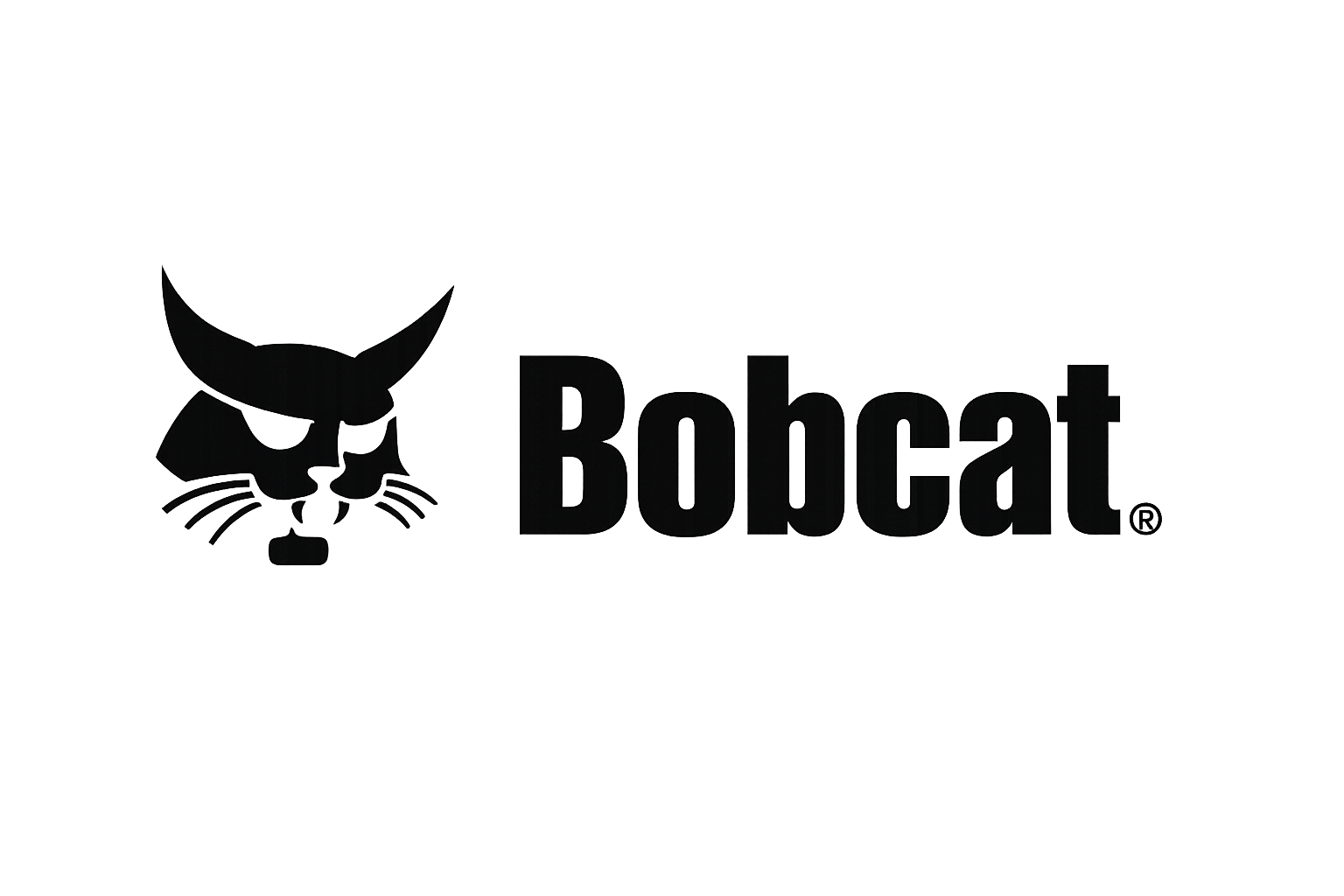 bobcat